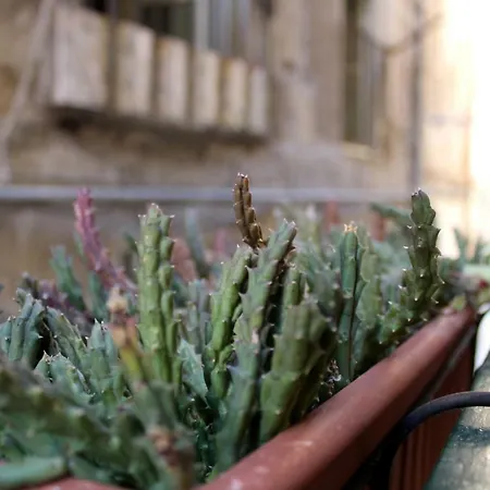 Camerini Di Santa Cecilia Dom wakacyjny Palermo